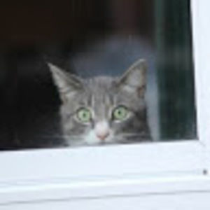 Meet your Posher, Wendy